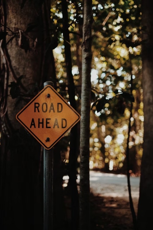 A road through Australian bushland